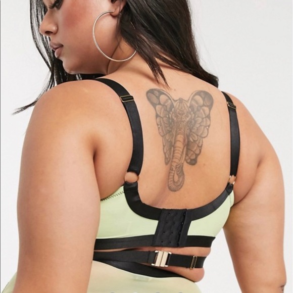 Gabi Fresh Bra Size 38 B NWT - Picture 3 of 6